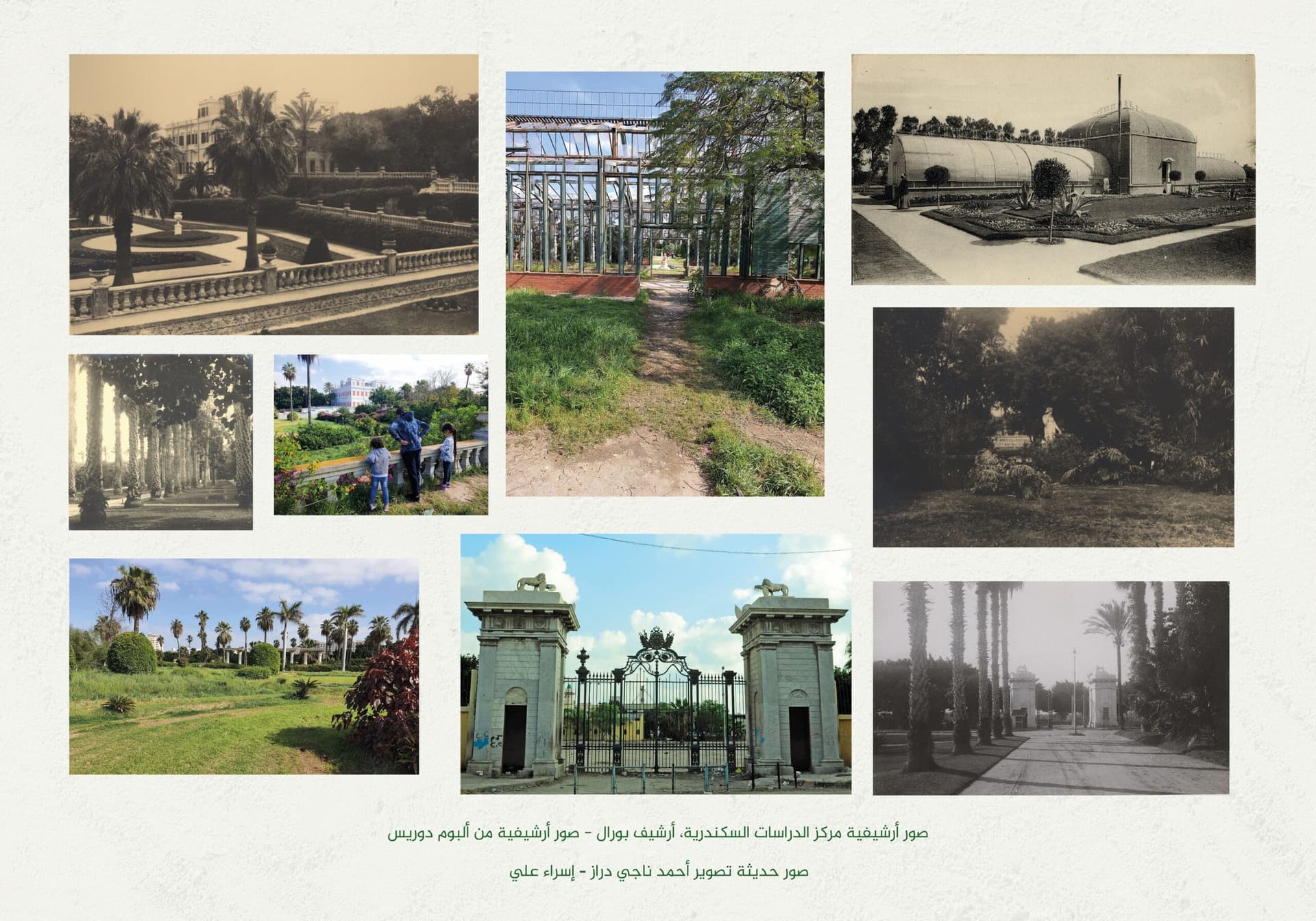 أنطونيادس