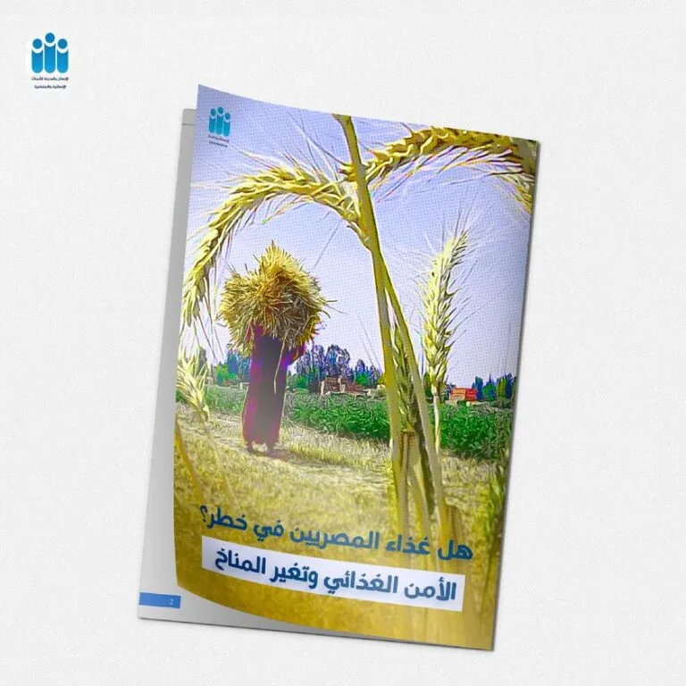 Is Egyptian food security in danger? Food Security and Climate Change.