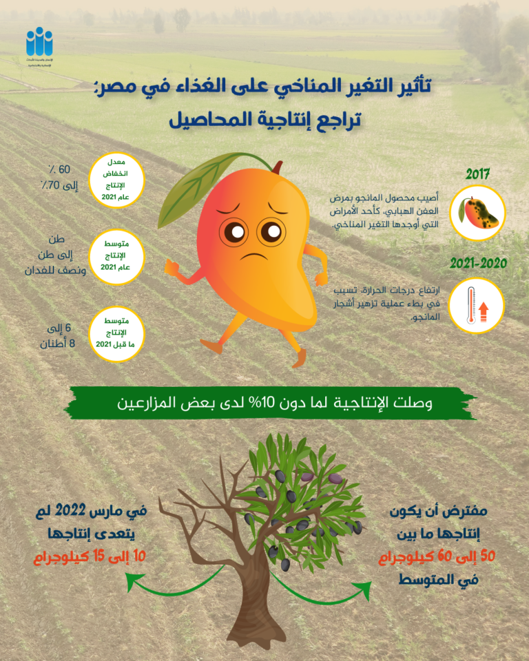 تأثير التغير المناخي على الغذاء في مصر: تراجع إنتاجية المحاصيل